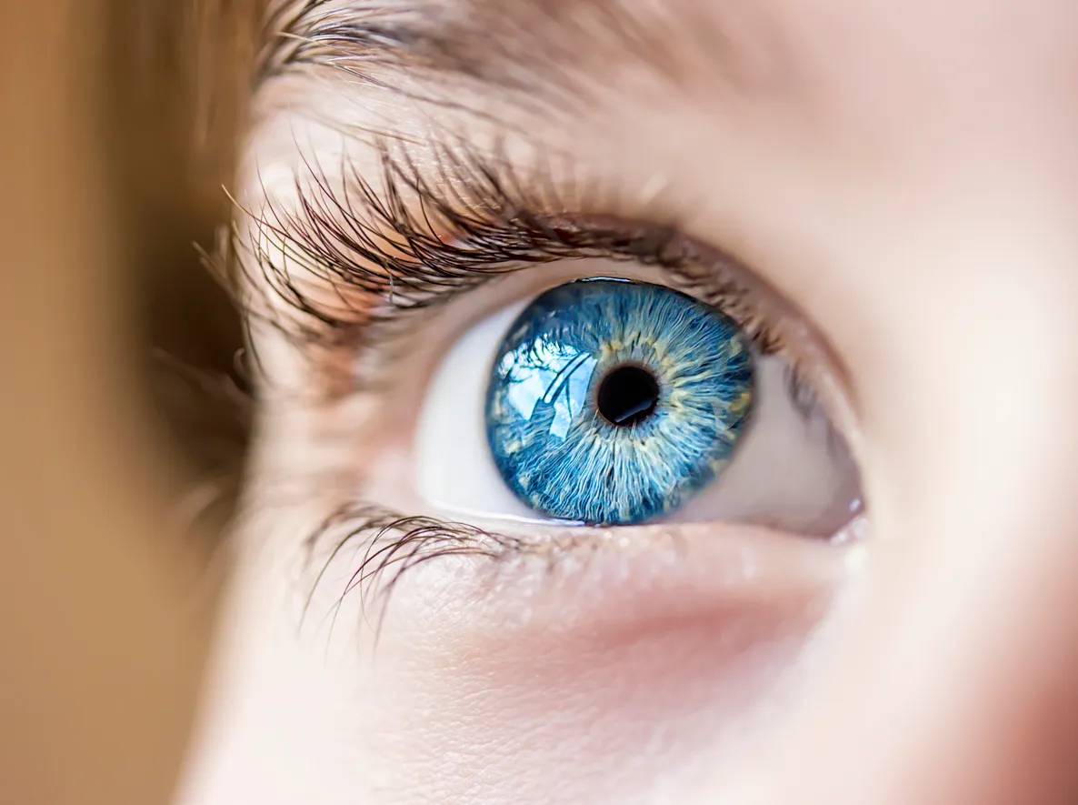 Grossaufnahme blaues Kinderauge